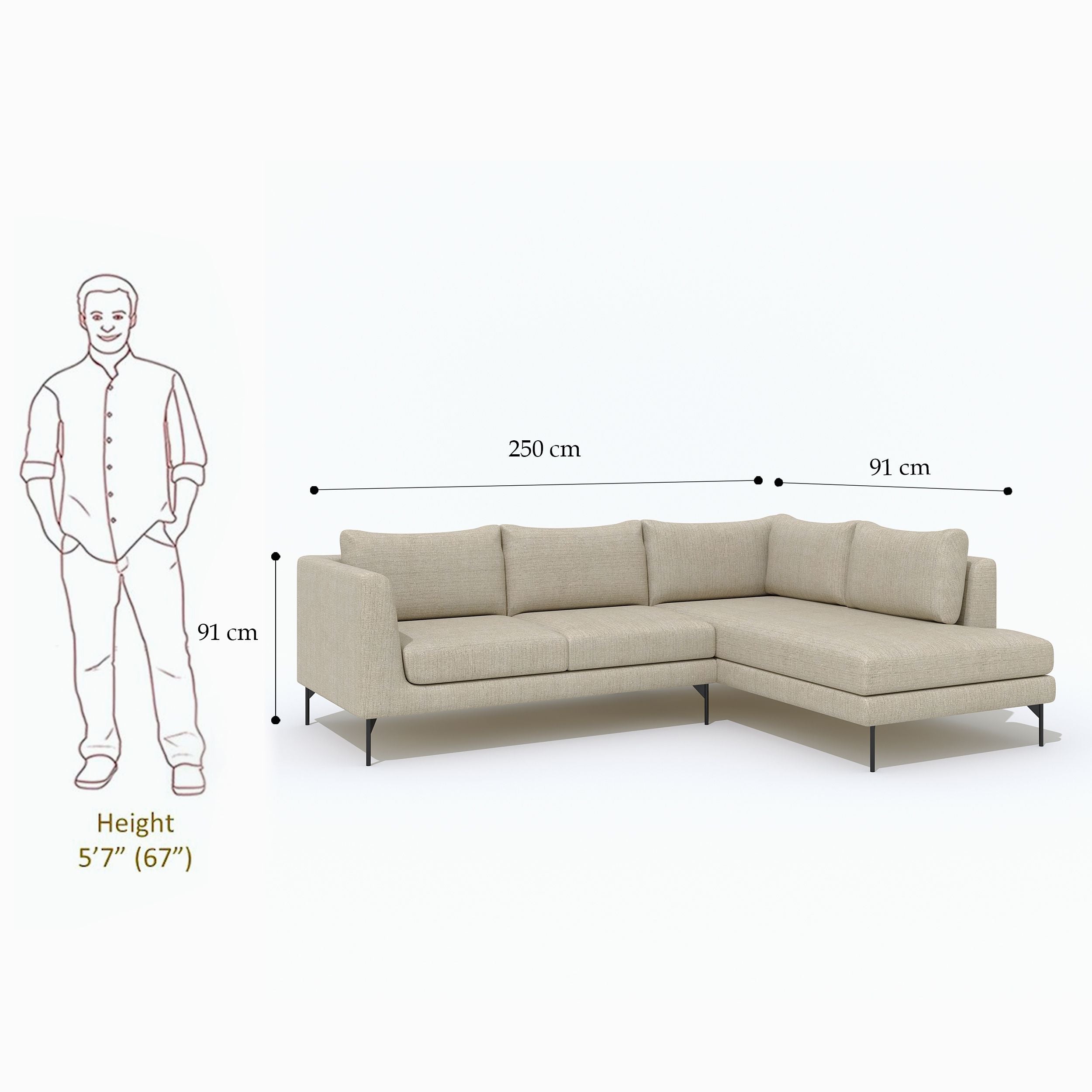 Westido Modern 3 + 1 + 1 Sofa (Cream Brown)