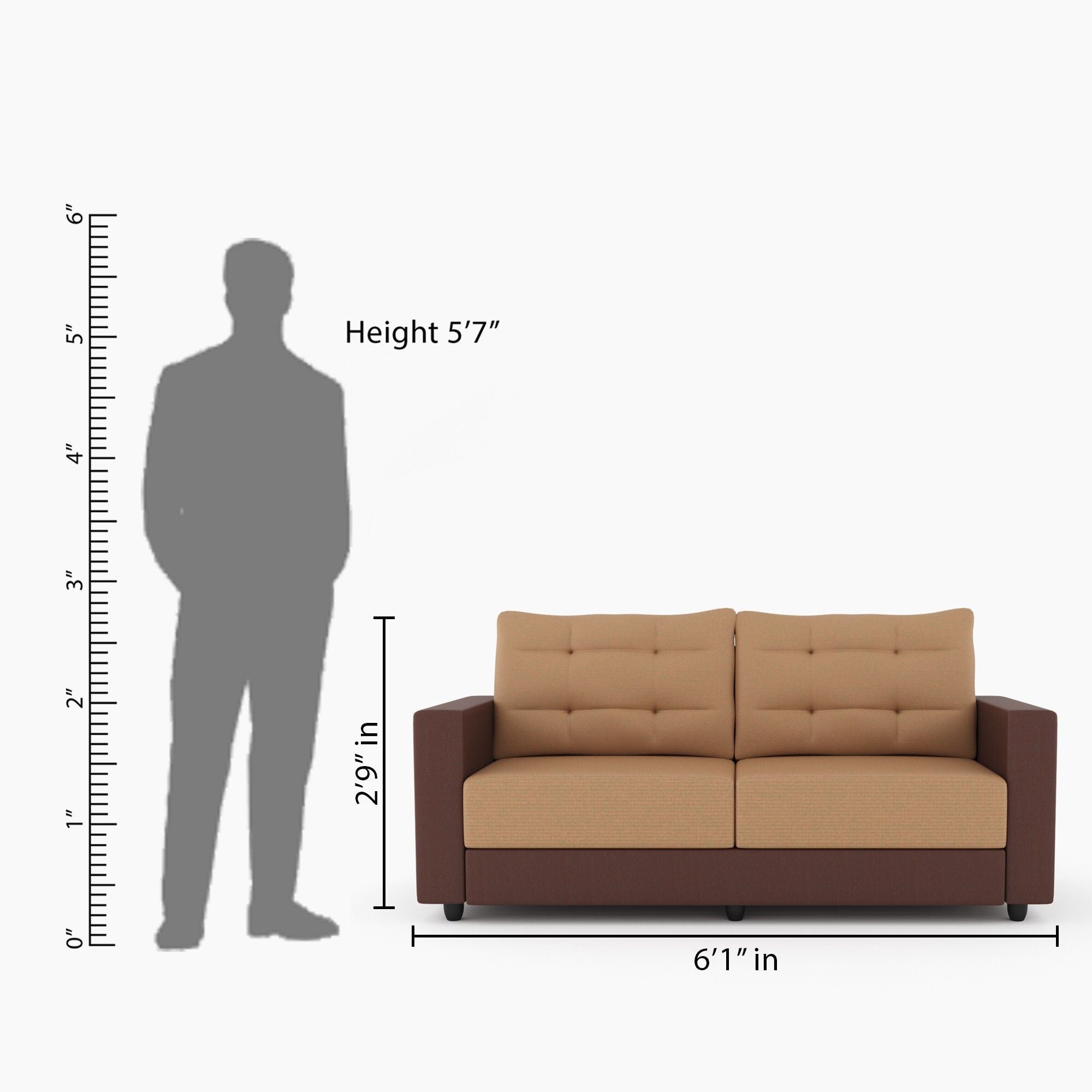 Cream Brown 3 + 1 + 1 Sofa by Westido