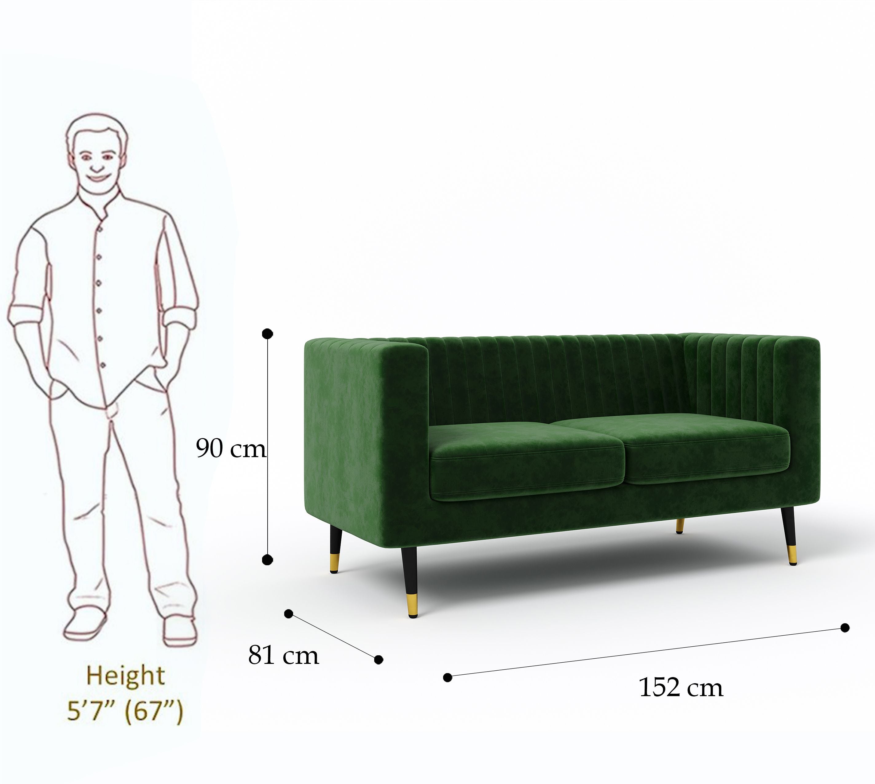 WESTIDO Fabric 2 Seater  Sofa (Finish Color - GREEN, DIY(Do-It-Yourself))