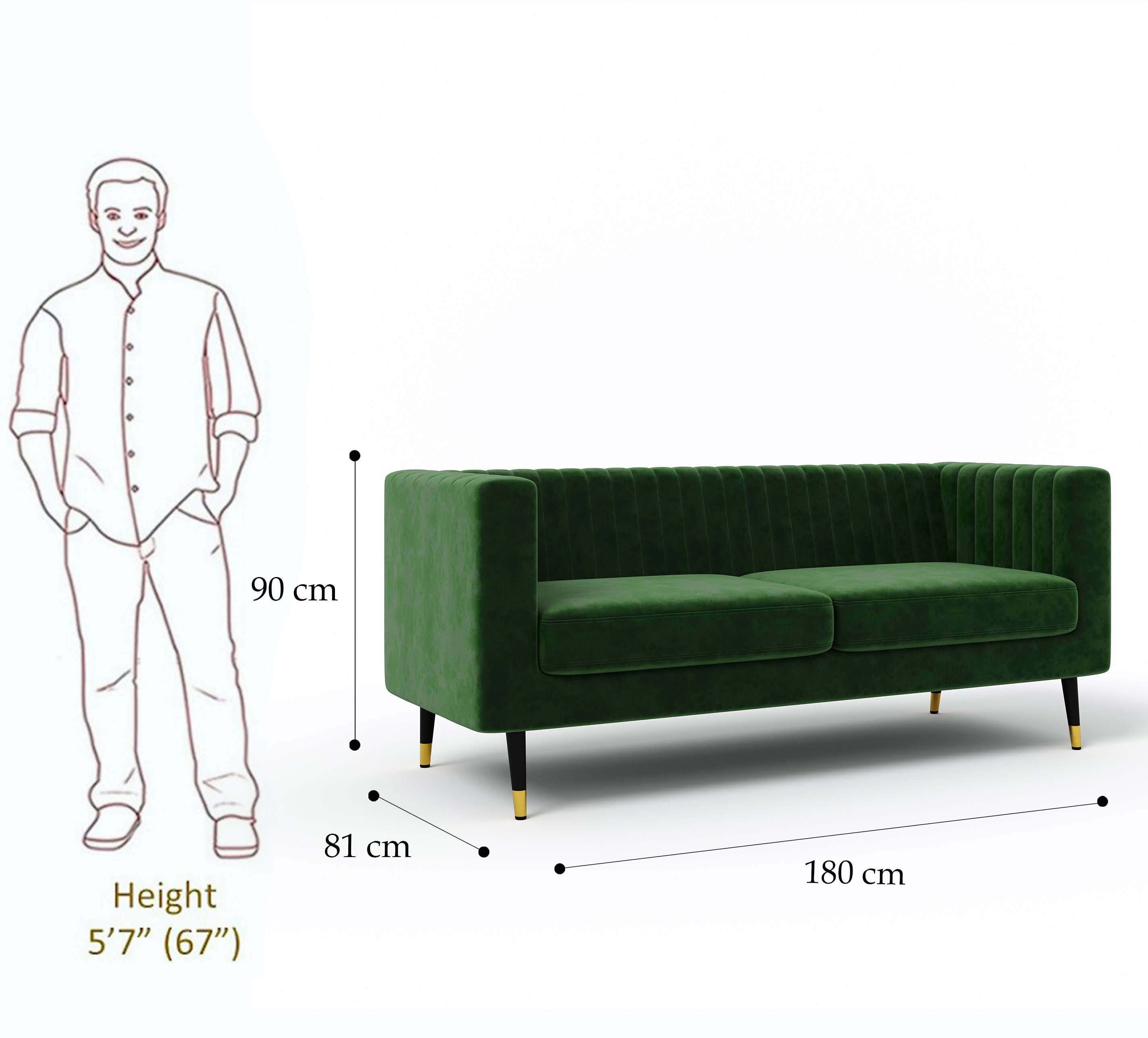 WESTIDO Enza Home Fabric 2 Seater  Sofa (Finish Color - GREEN, DIY(Do-It-Yourself))