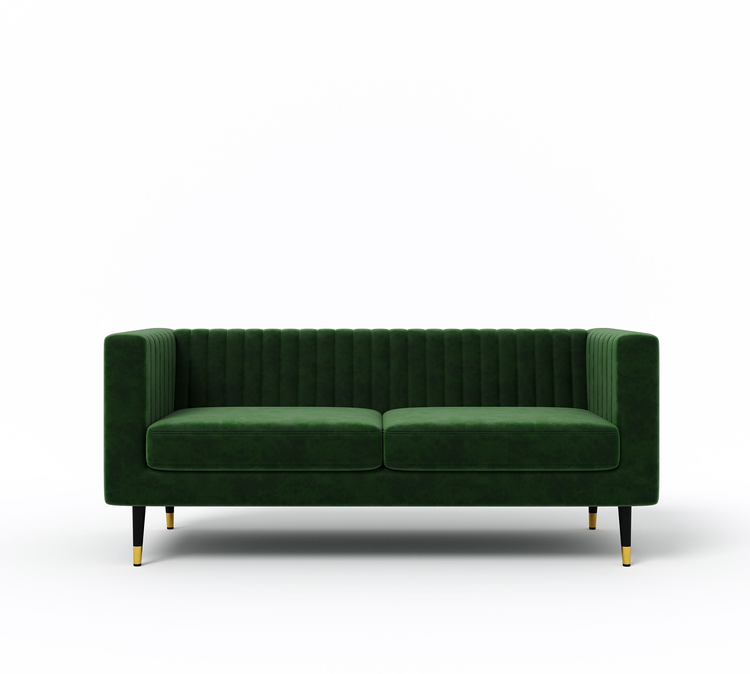WESTIDO Enza Home Fabric 2 Seater  Sofa (Finish Color - GREEN, DIY(Do-It-Yourself))