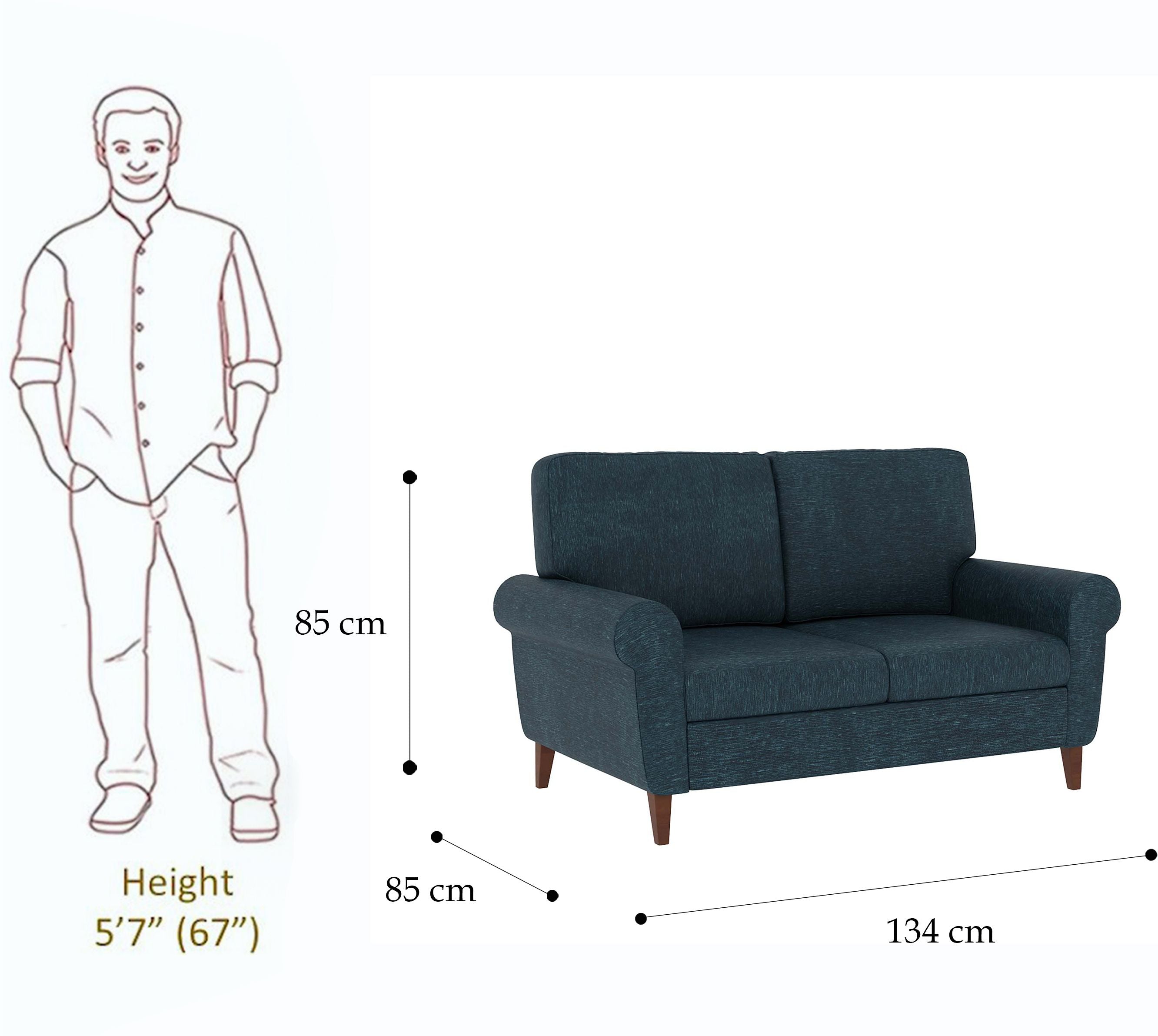 WESTIDO Alfemo Mobilya. Fabric 2 Seater  Sofa (Finish Color - BLUE, DIY(Do-It-Yourself))